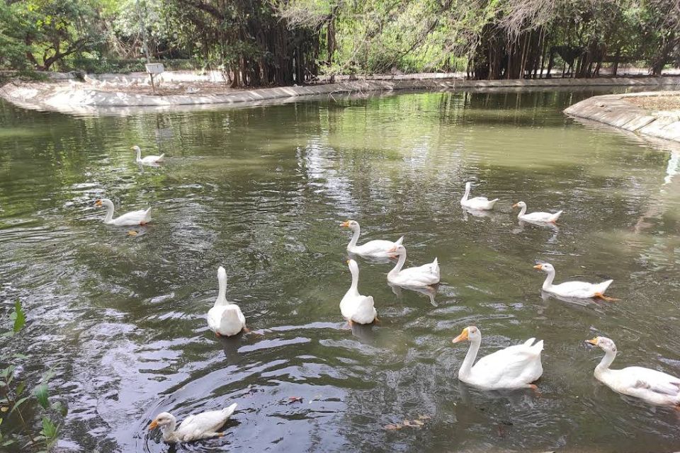 Bharthana National Park