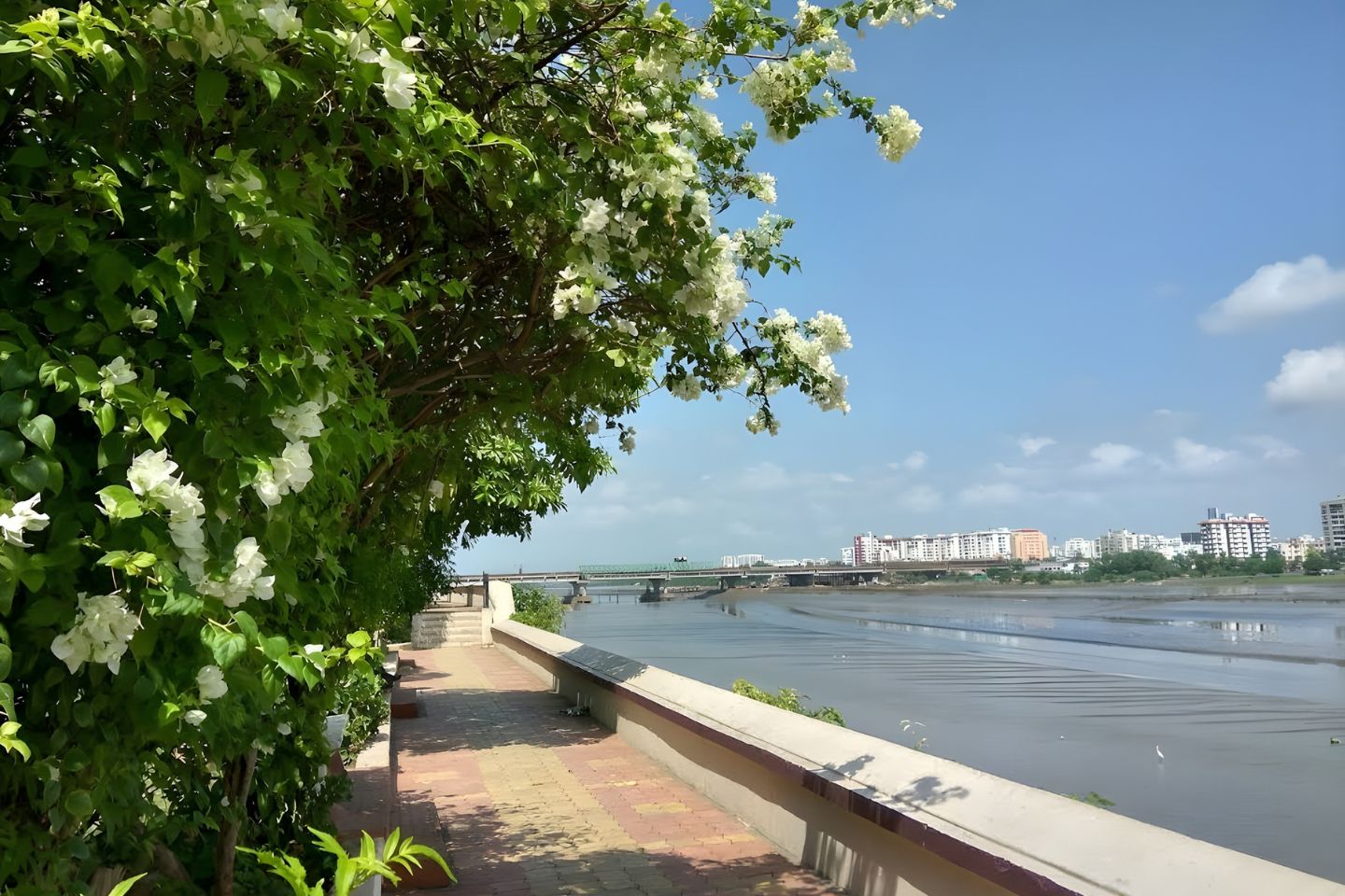 Dutch Garden Surat