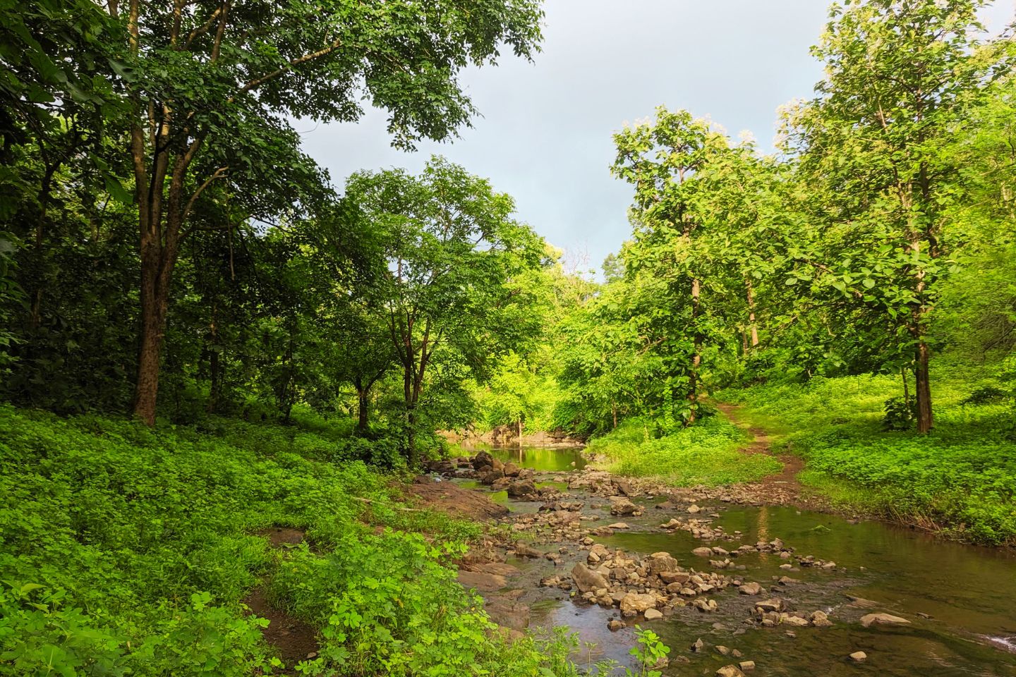 Purna Wildlife Sanctuary Surat
