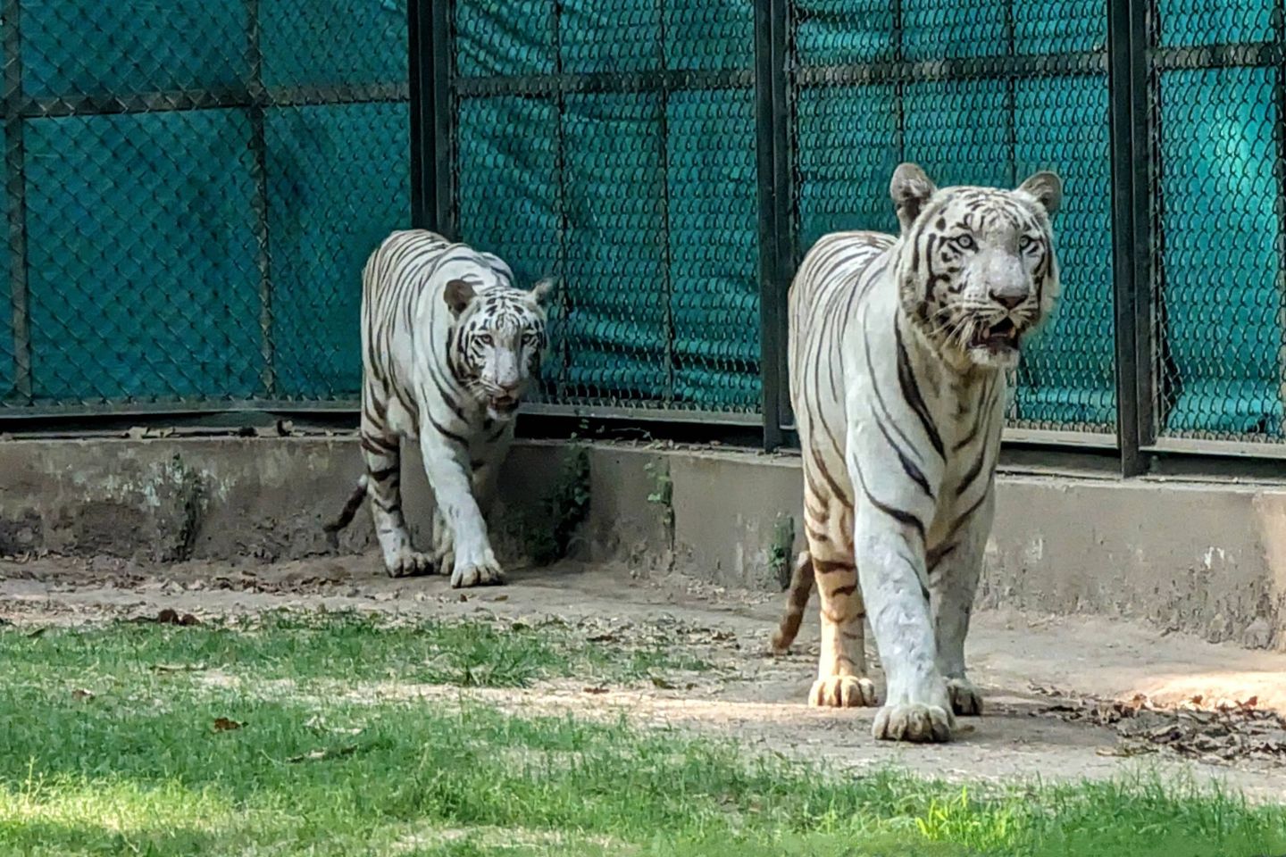 Sarthana National Park Surat 