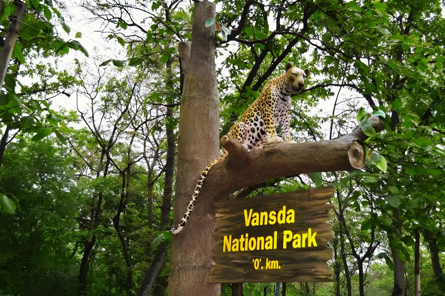 Vansda National Park Surat